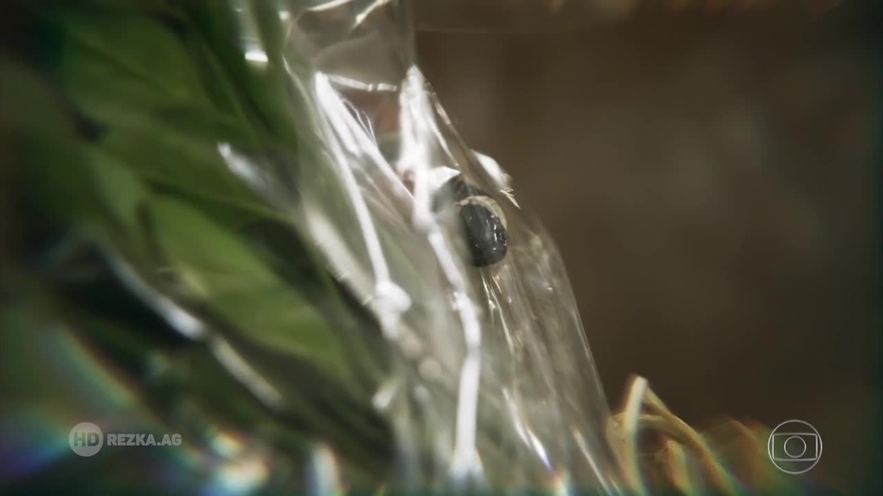 Время не остановить 116 серия Время не остановить 116 серия