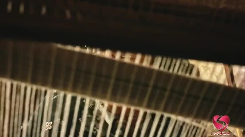 Старик Шику 44 серия Старик Шику 44 серия