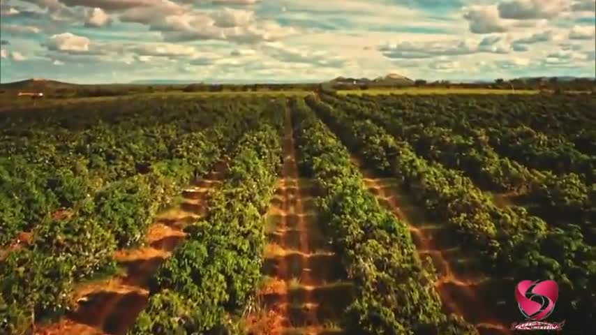 Старик Шику 88 серия Старик Шику 88 серия