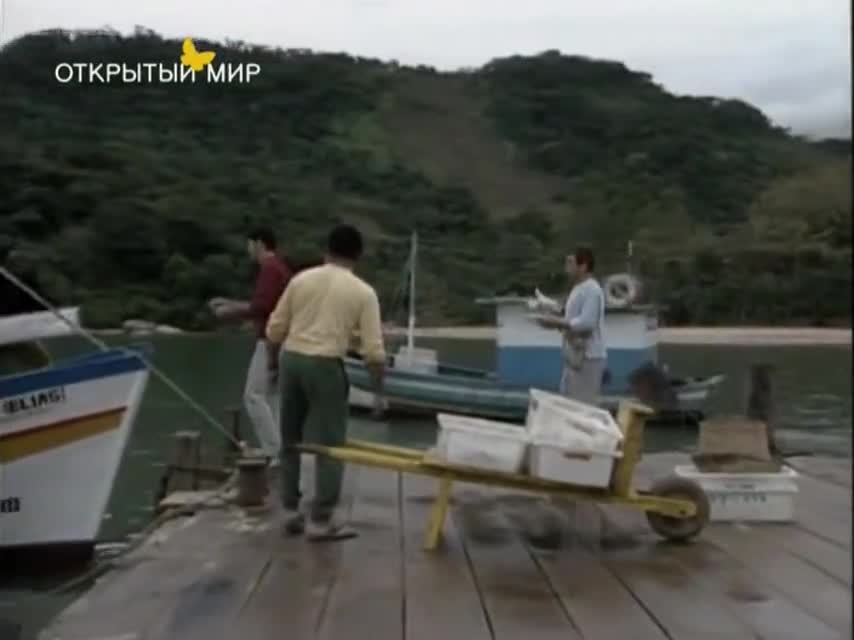 Секрет Тропиканки 114 серия