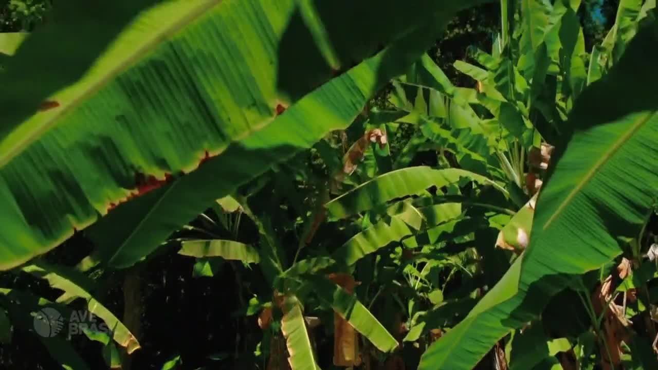 Другая сторона рая 35 серия