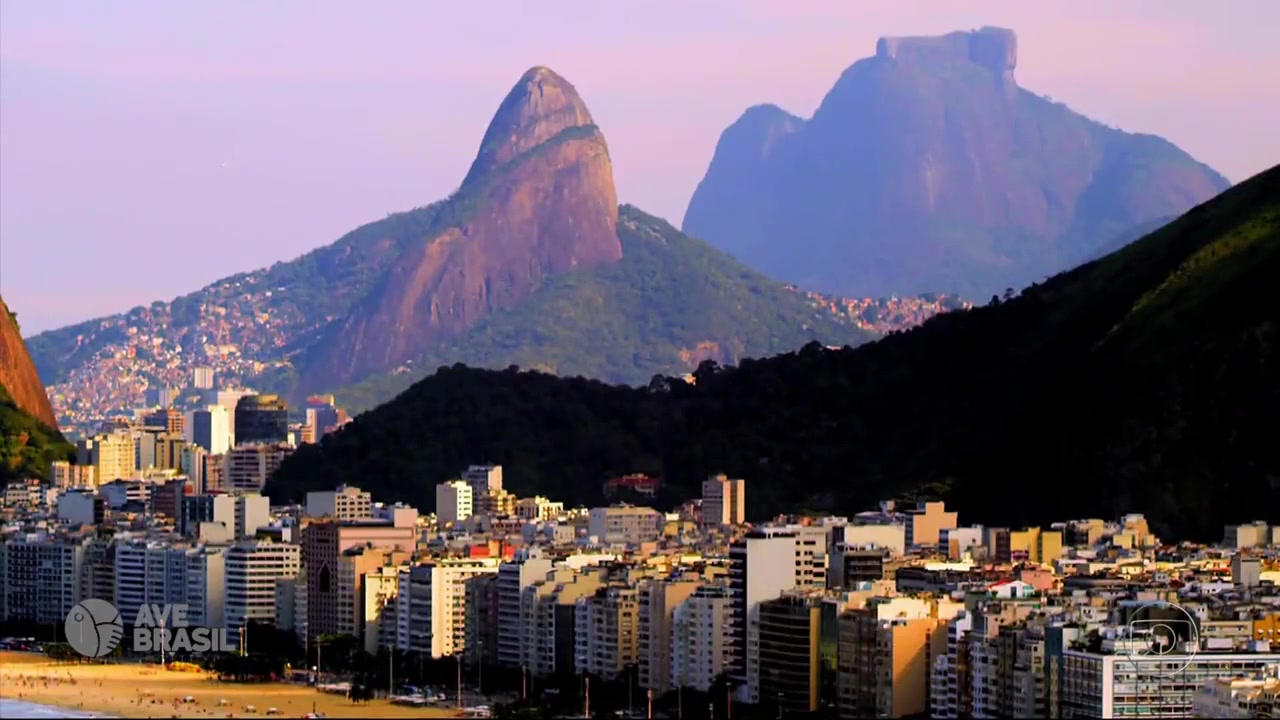 Светило 44 серия Светило 44 серия