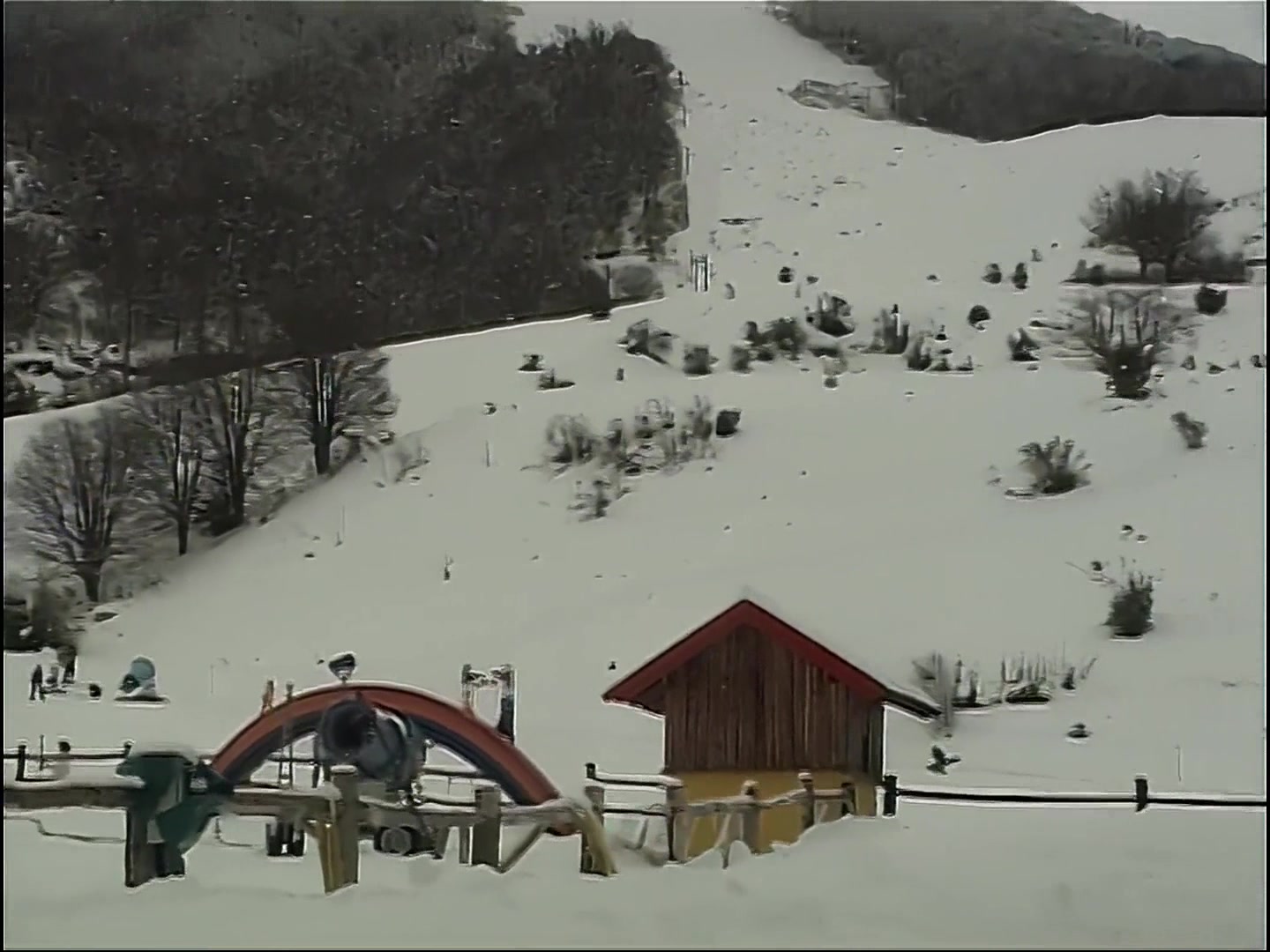 Дикий ангел 163 серия