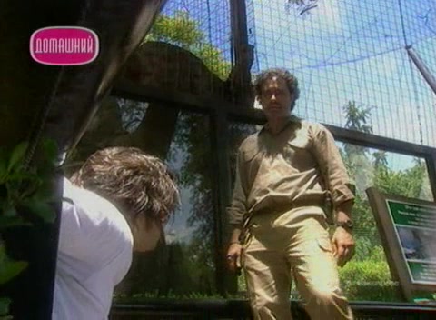 Тайна Лауры 1 серия Тайна Лауры 1 серия