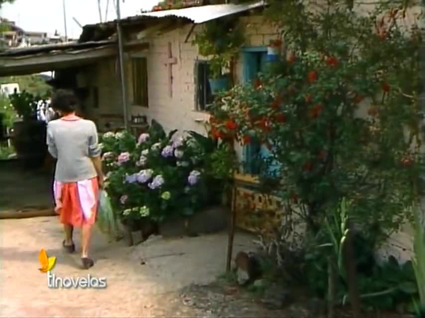 Дикая роза 2 серия