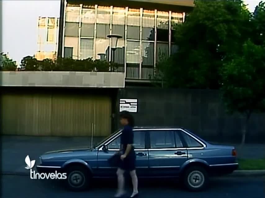 Дикая роза 95 серия