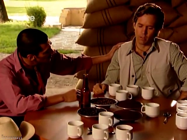 Женщина с ароматом кофе 92 серия