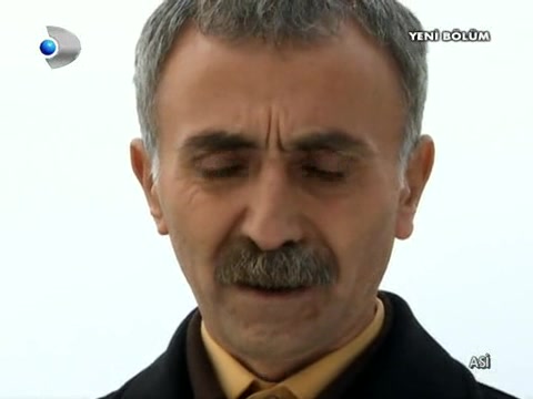 Аси 17 серия Аси 17 серия