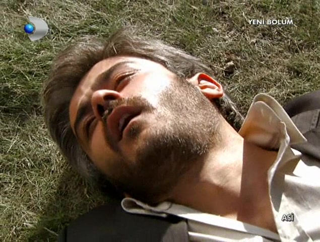 Аси 15 серия Аси 15 серия