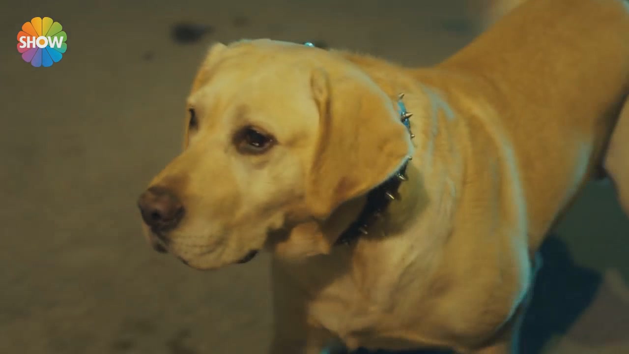 Любовь не понимает слов 9 серия Любовь не понимает слов 9 серия