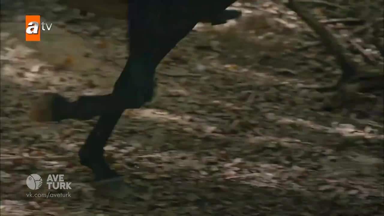 Основание Осман 4 серия Основание Осман 4 серия