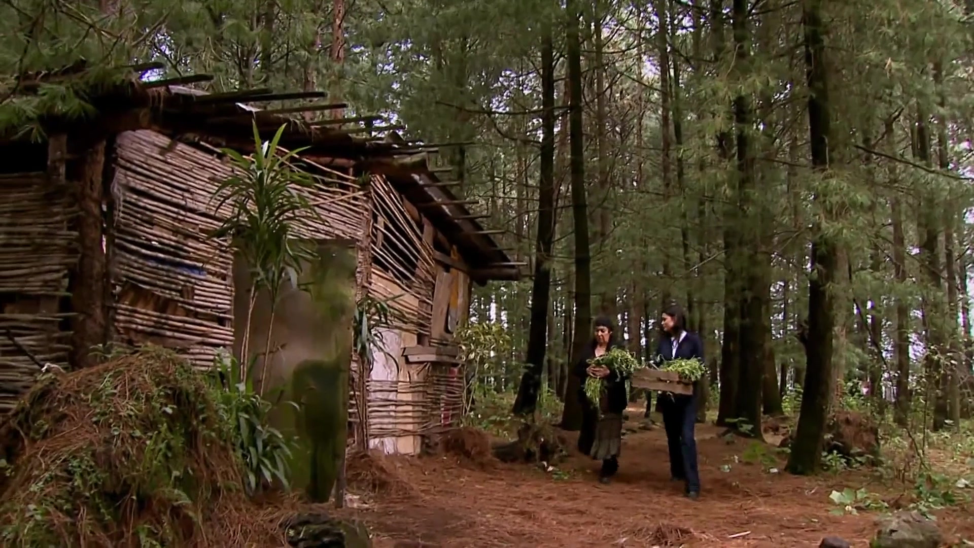 Нелюбимая 68 серия