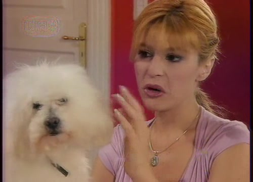 Телохранитель 135 серия Телохранитель 135 серия