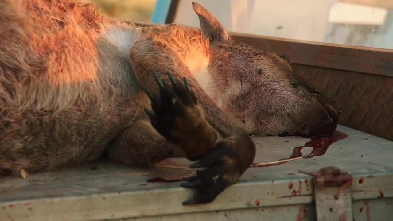 Волчья яма 2 серия Волчья яма 2 серия