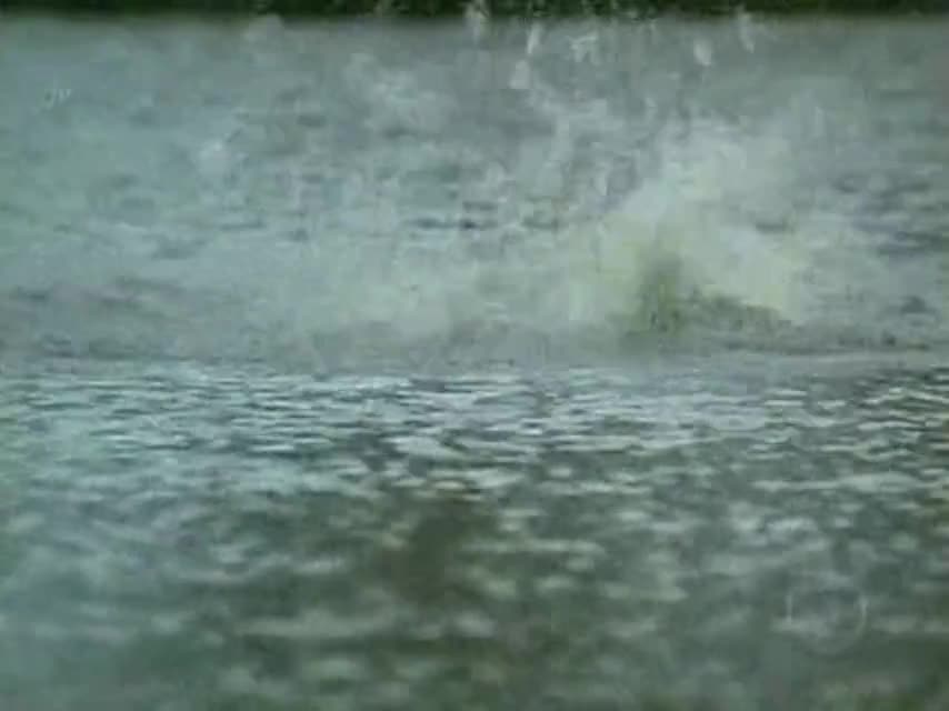 Безрассудное сердце 90 серия Безрассудное сердце 90 серия