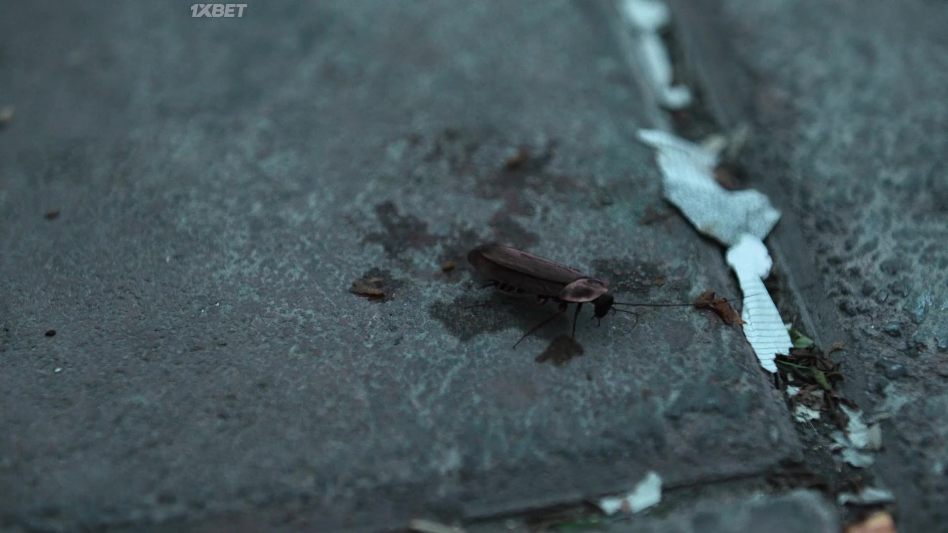 Вся кровь 1 серия