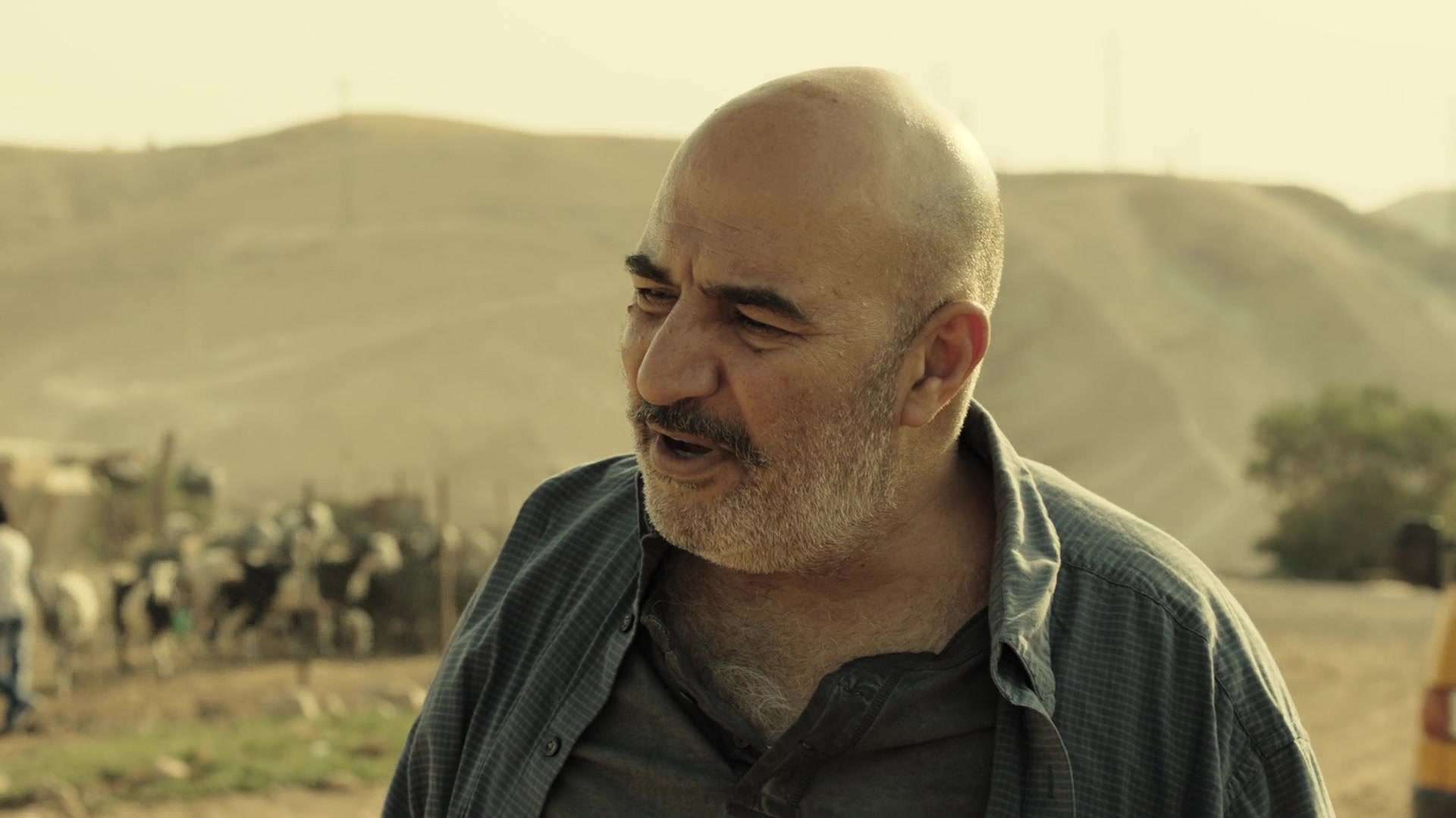 Фауда 1 серия Фауда 1 серия