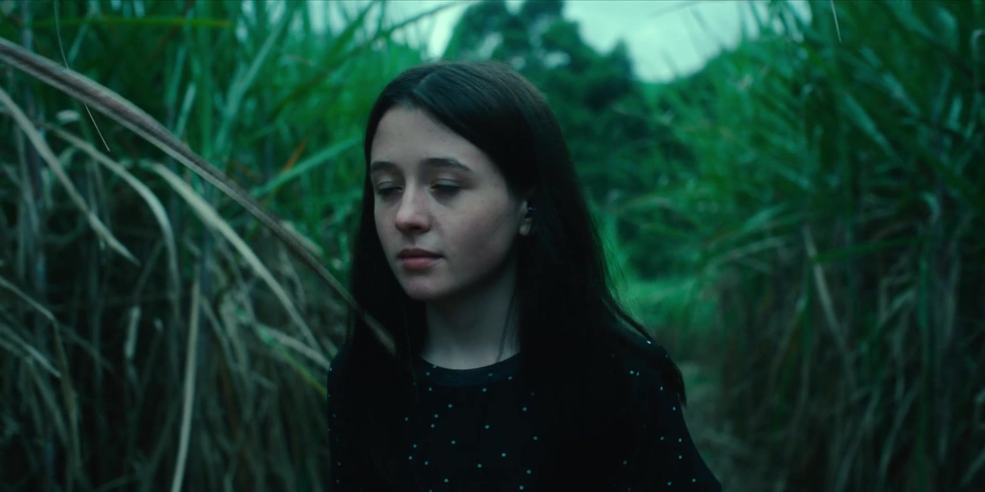 Рейка 1 серия Рейка 1 серия