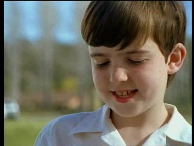 Коалы не виноваты 24 серия