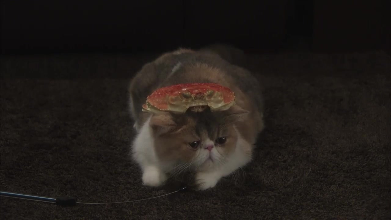 Взрослые женщины 7 серия Взрослые женщины 7 серия