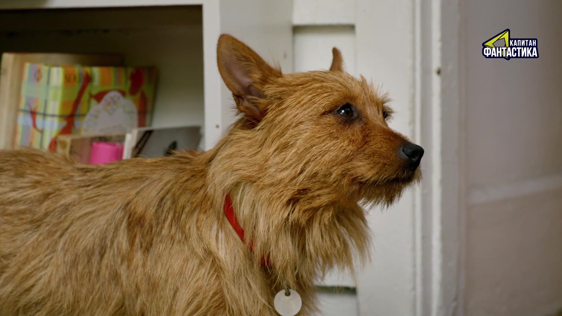 Ларри, чудо-пес 14 серия