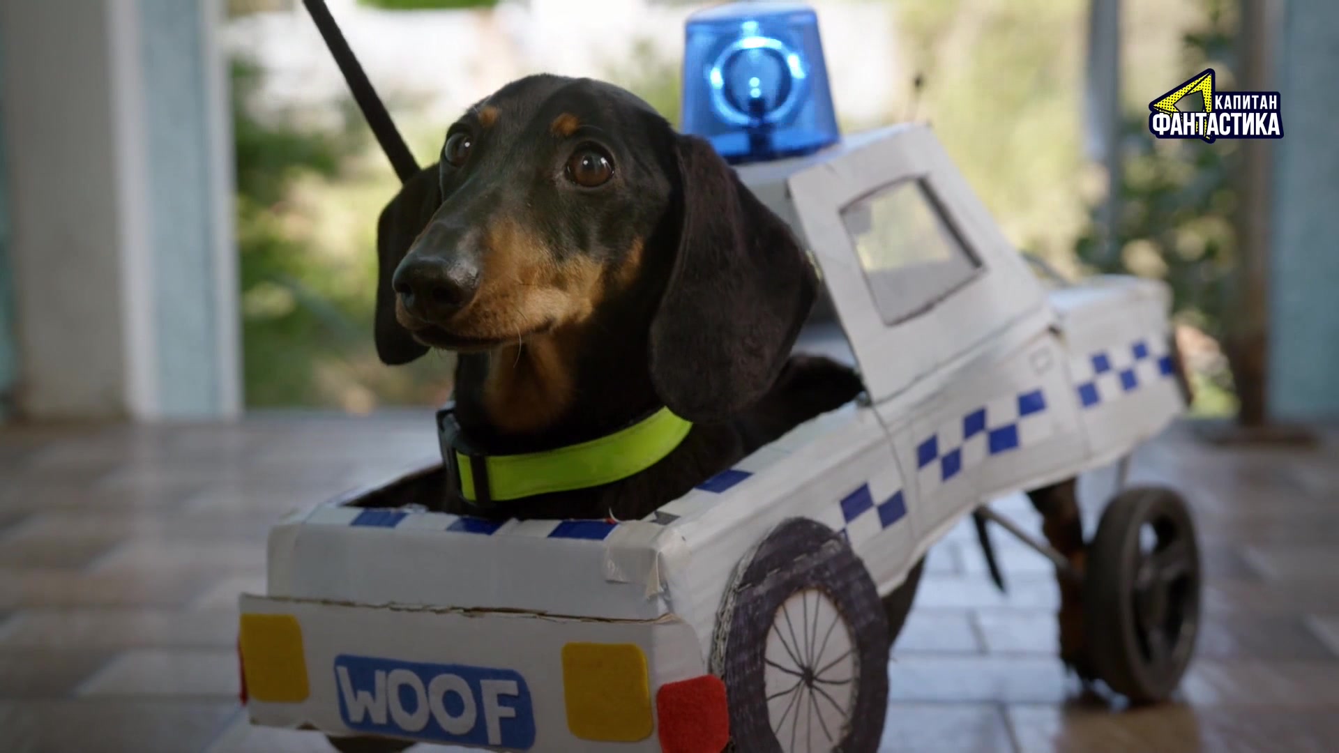 Ларри, чудо-пес (2018) 3 серия