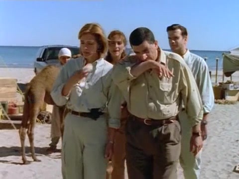 Пси Фактор: Хроники паранормальных явлений 11 серия Пси Фактор: Хроники паранормальных явлений 11 серия