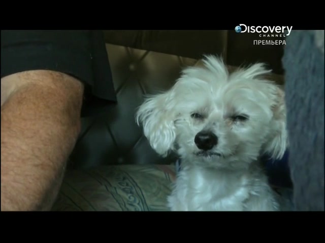 Реальные дальнобойщики 5 серия Реальные дальнобойщики 5 серия