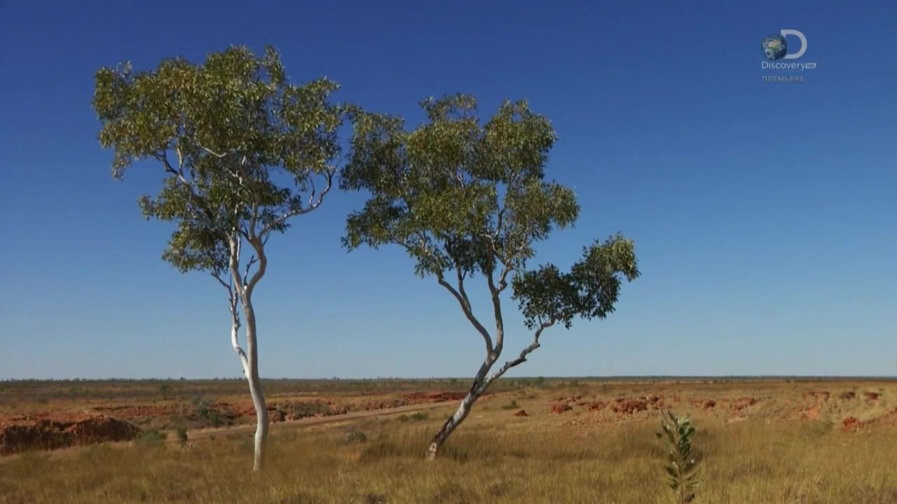 Реальные дальнобойщики 3 серия Реальные дальнобойщики 3 серия