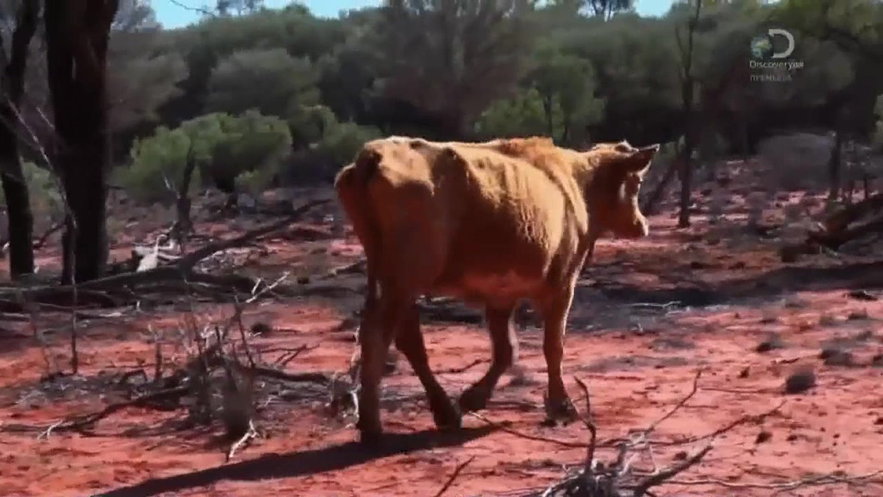 Реальные дальнобойщики 4 серия Реальные дальнобойщики 4 серия