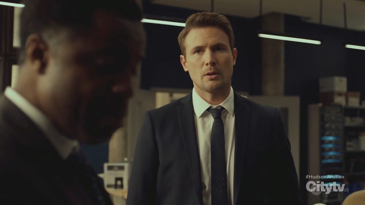 Хадсон и Рекс 2 серия Хадсон и Рекс 2 серия
