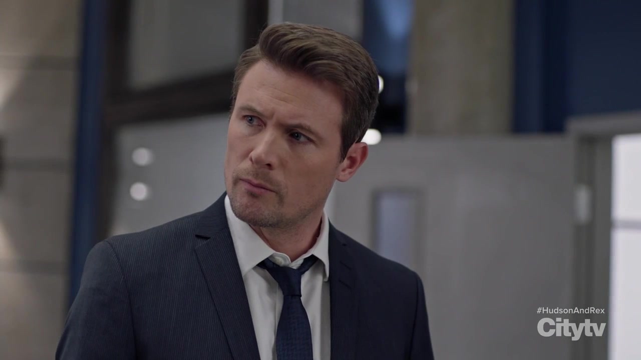 Хадсон и Рекс 4 серия Хадсон и Рекс 4 серия