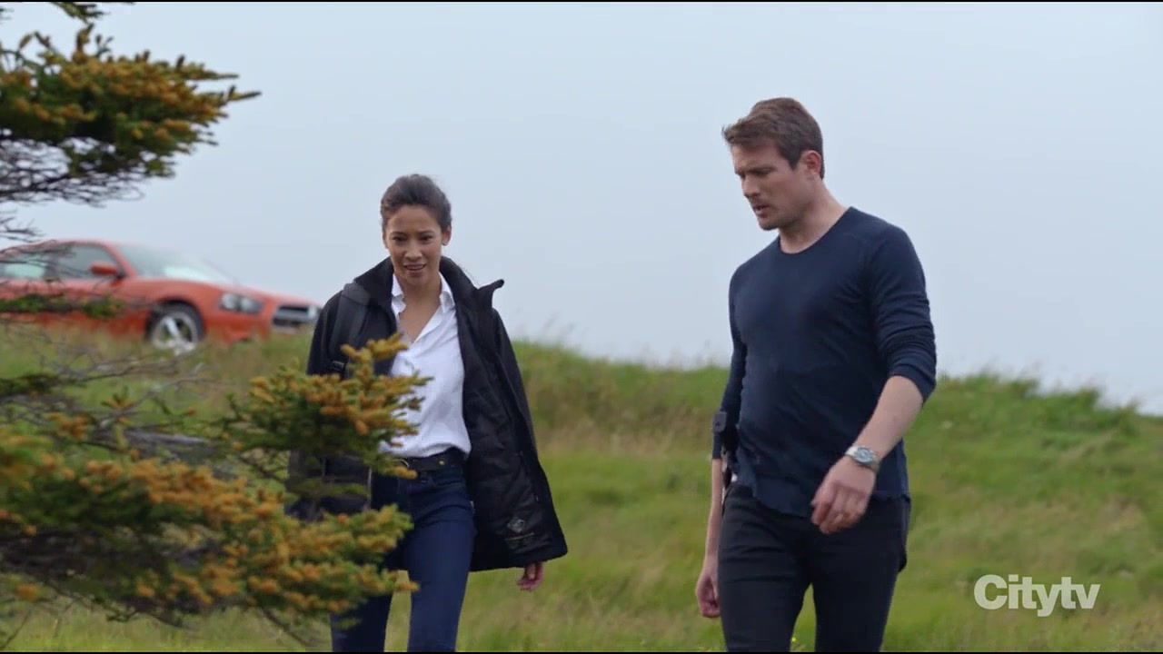 Хадсон и Рекс 4 серия Хадсон и Рекс 4 серия