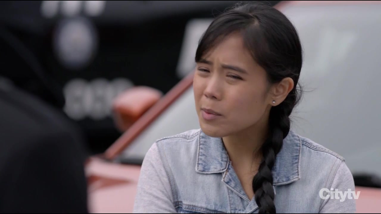 Хадсон и Рекс 9 серия Хадсон и Рекс 9 серия