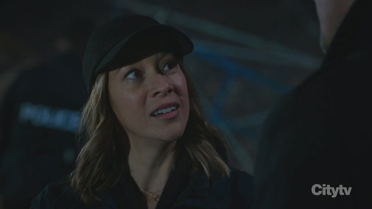 Хадсон и Рекс 7 серия Хадсон и Рекс 7 серия