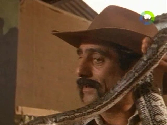 Приключения Скиппи (1992) 10 серия