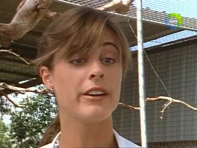 Приключения Скиппи (1992) 13 серия