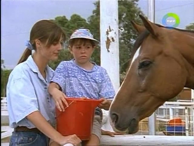 Приключения Скиппи (1992) 17 серия