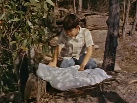 Скиппи 16 серия Скиппи 16 серия