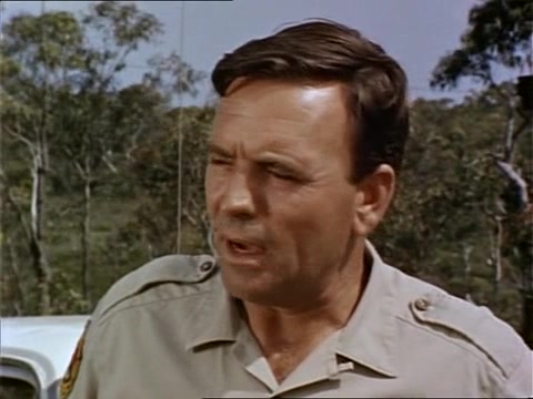 Скиппи 22 серия Скиппи 22 серия