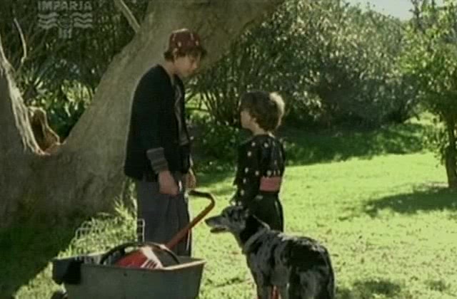 Собака по имени Снобз 19 серия Собака по имени Снобз 19 серия