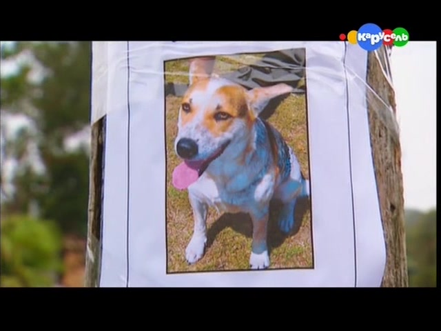 Юные детективы 1 серия