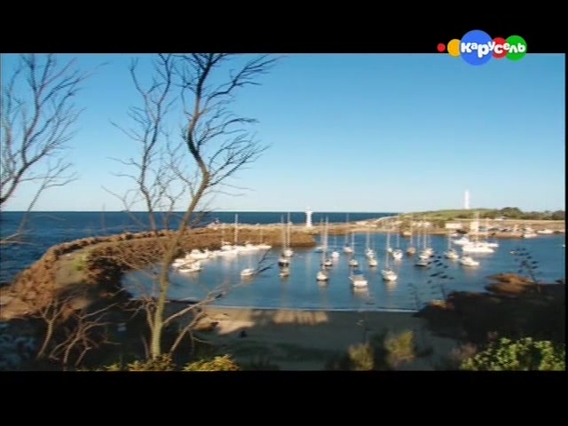 Юные детективы (2009) 26 серия