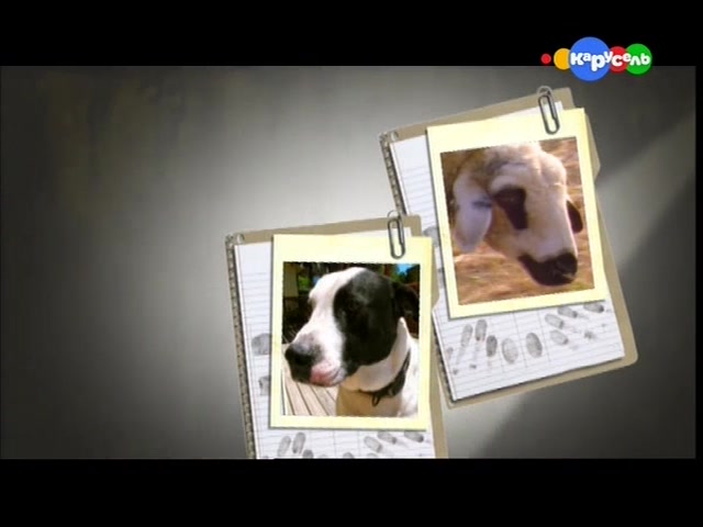 Юные детективы (2009) 9 серия