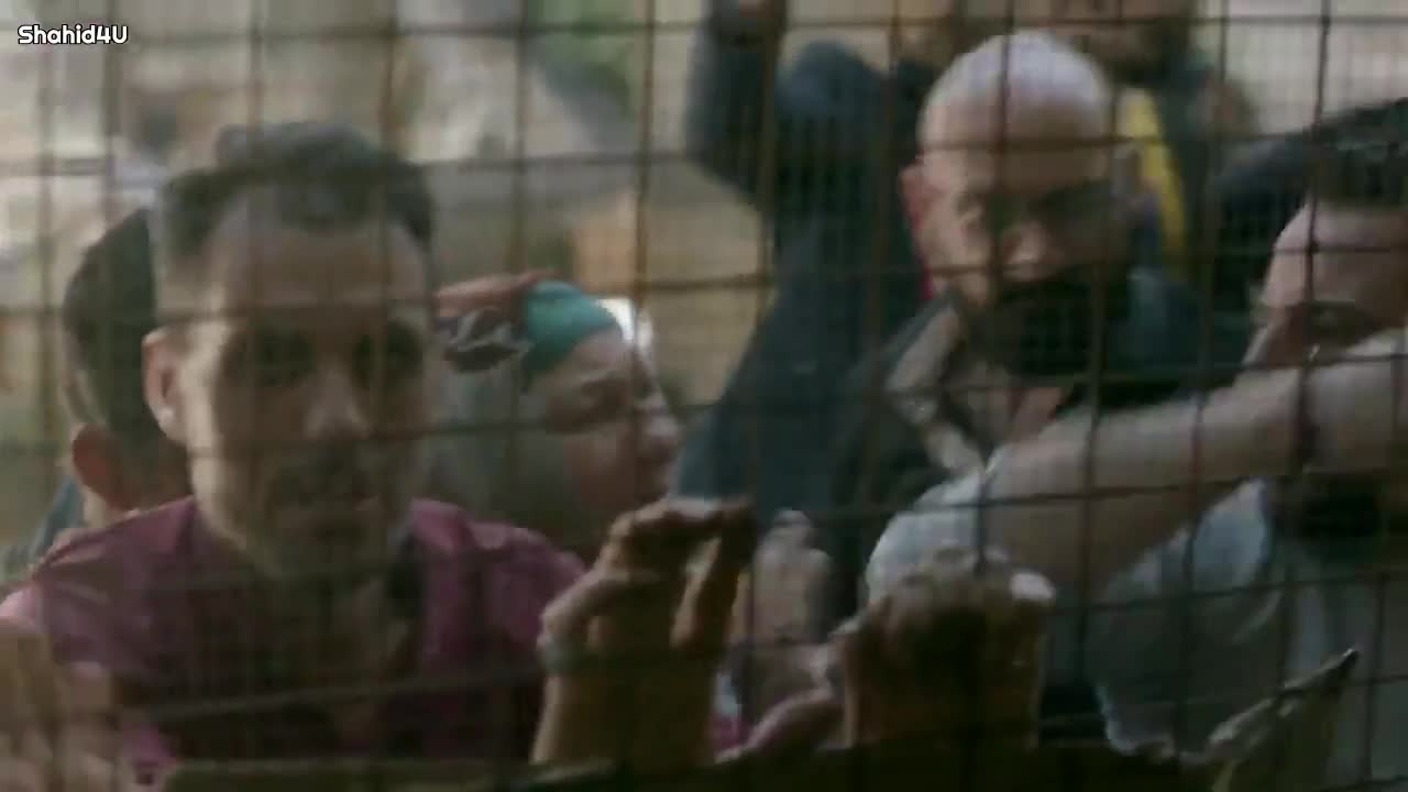 2020 29 серия 2020 29 серия