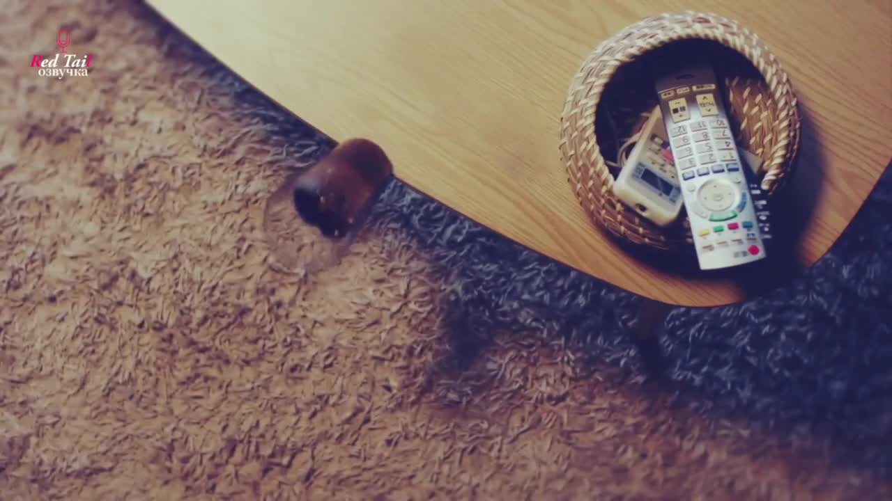 Детектив-медиум Дзёзука Хисуи 5 серия Детектив-медиум Дзёзука Хисуи 5 серия