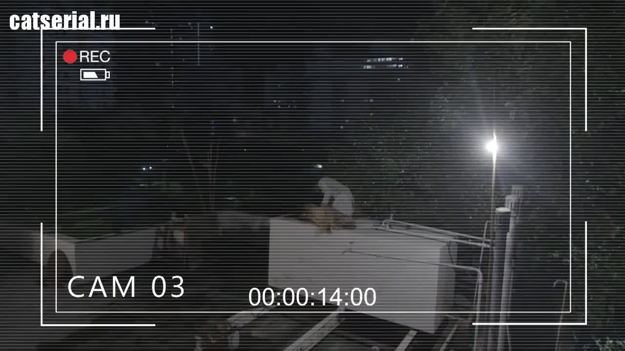 Без защиты 70 серия