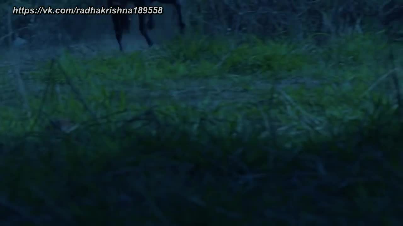 Викрам и Бетал (2018) 37 серия