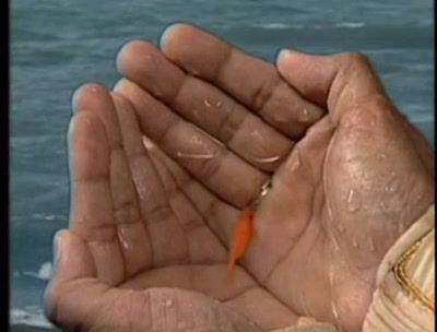 Вишну Пурана 8 серия Вишну Пурана 8 серия