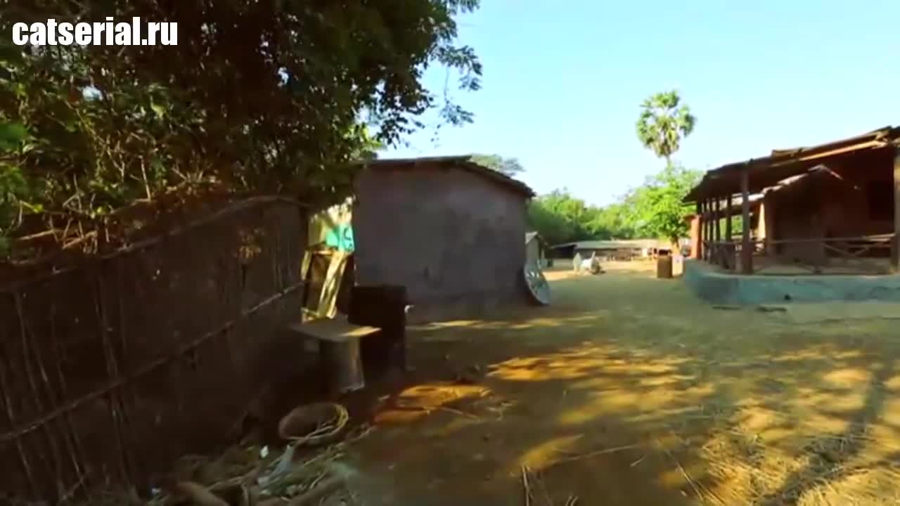 Друзья: условия применимы 18 серия Друзья: условия применимы 18 серия